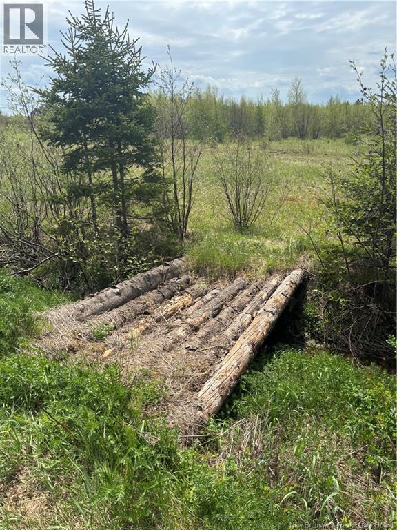 Lot 21-1 Will Rogers Road, Lutes Mountain, New Brunswick  E1G 2X7 - Photo 3 - NB140236