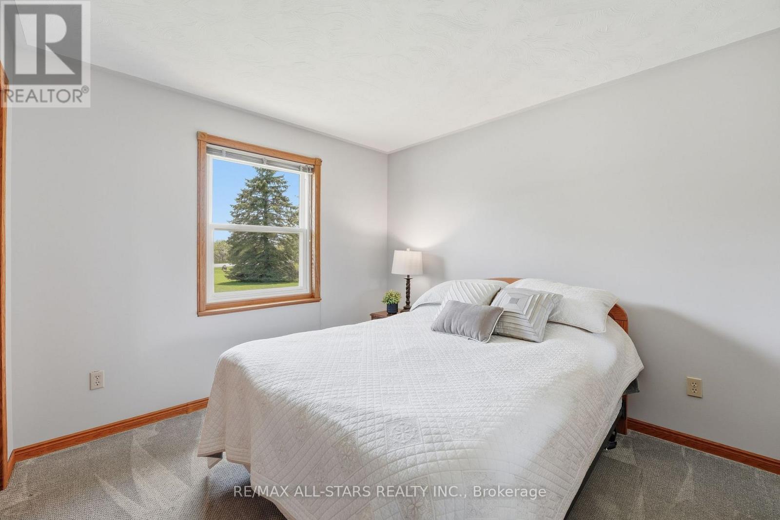 142 Country Mile Lane, Georgina, Ontario  L0E 1R0 - Photo 26 - N13189730