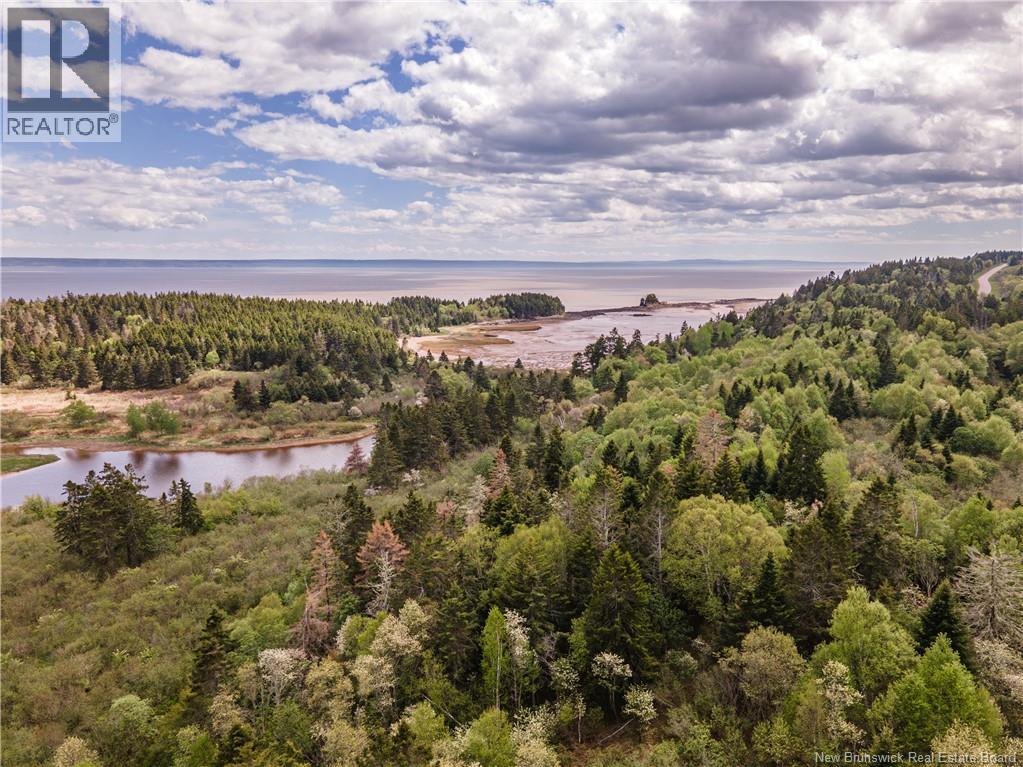 1195 Route 915, New Horton, New Brunswick  E4H 1W4 - Photo 42 - NB135628
