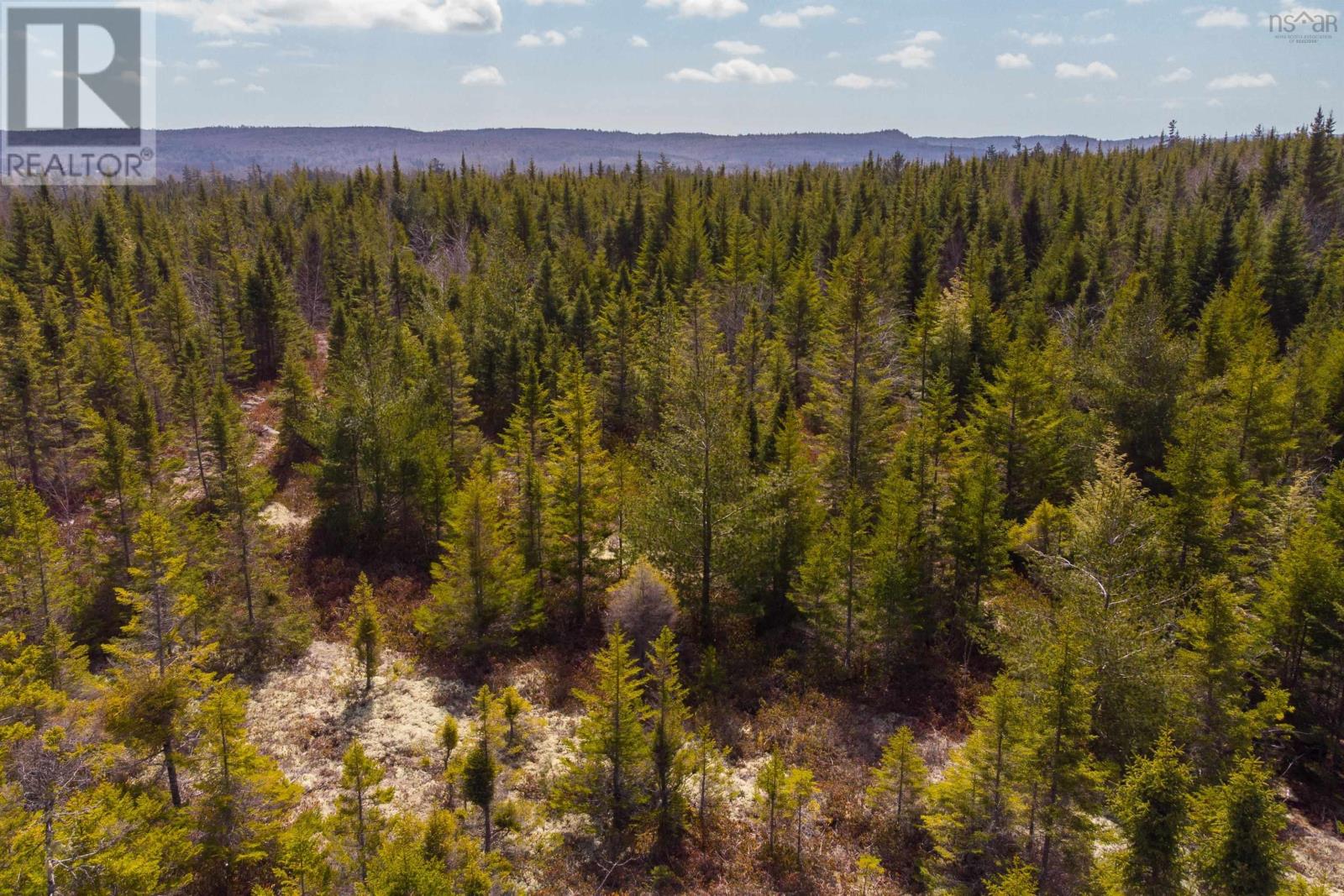 Lot 4 The Grant Preserve, Musquodoboit River, Nova Scotia  B0V 1V0 - Photo 1 - 202607277