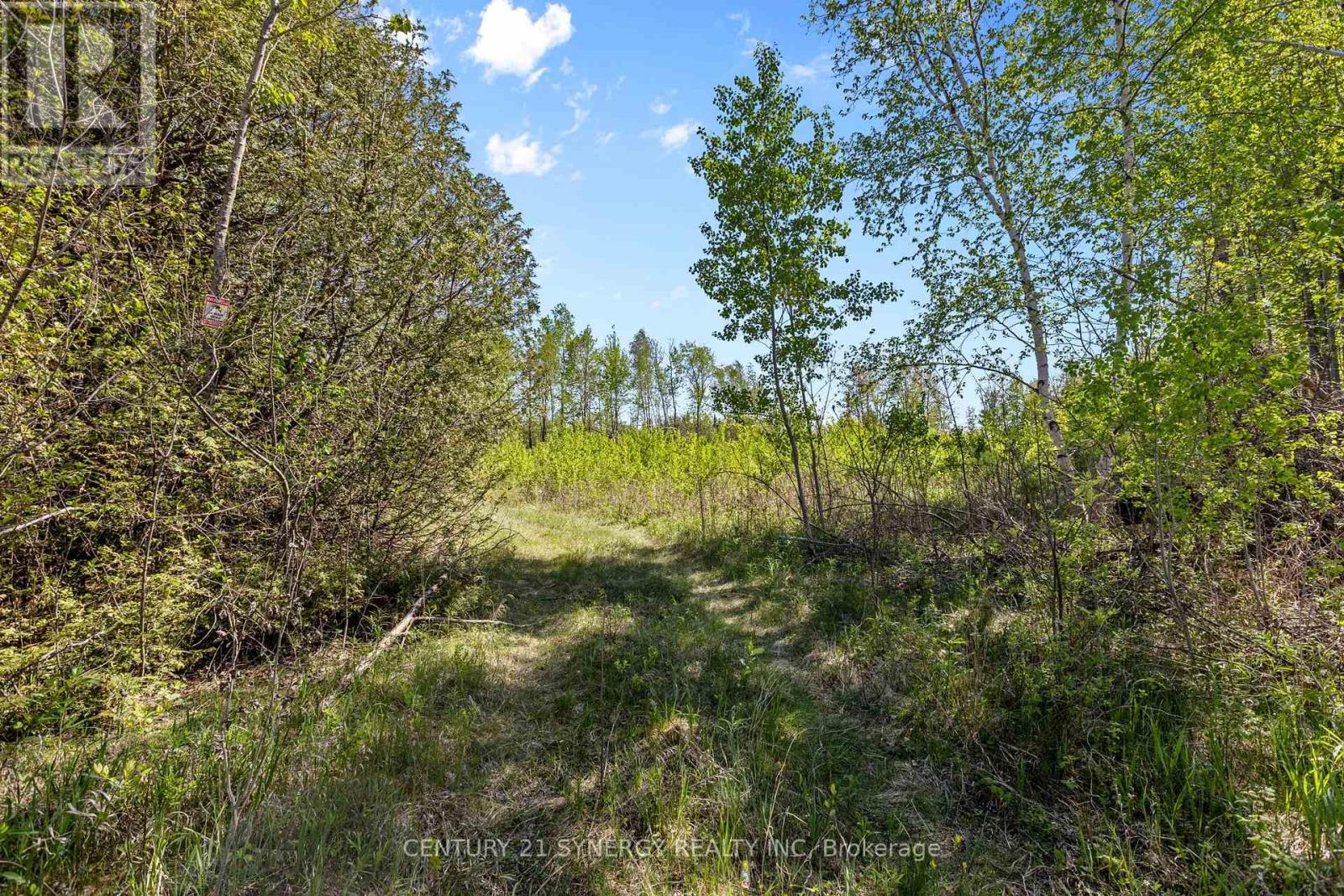 1211 Van Buren Street, North Grenville, Ontario K0G 1J0 - Photo 11 - X13192236
