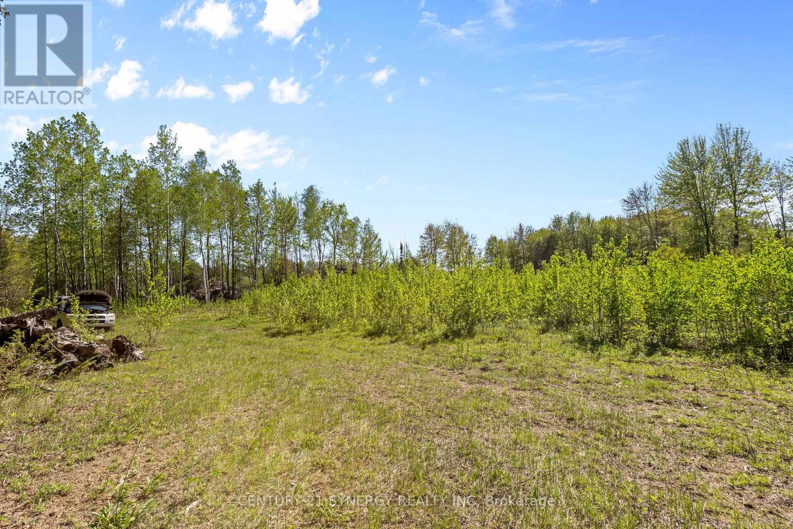 1211 Van Buren Street, North Grenville, Ontario K0G 1J0 - Photo 12 - X13192236