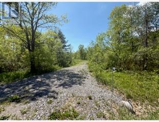 6409 Stirling Marmora Road, Marmora And Lake, Ontario  K0K 2M0 - Photo 2 - X13191524