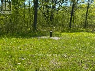 6409 Stirling Marmora Road, Marmora And Lake, Ontario  K0K 2M0 - Photo 5 - X13191524