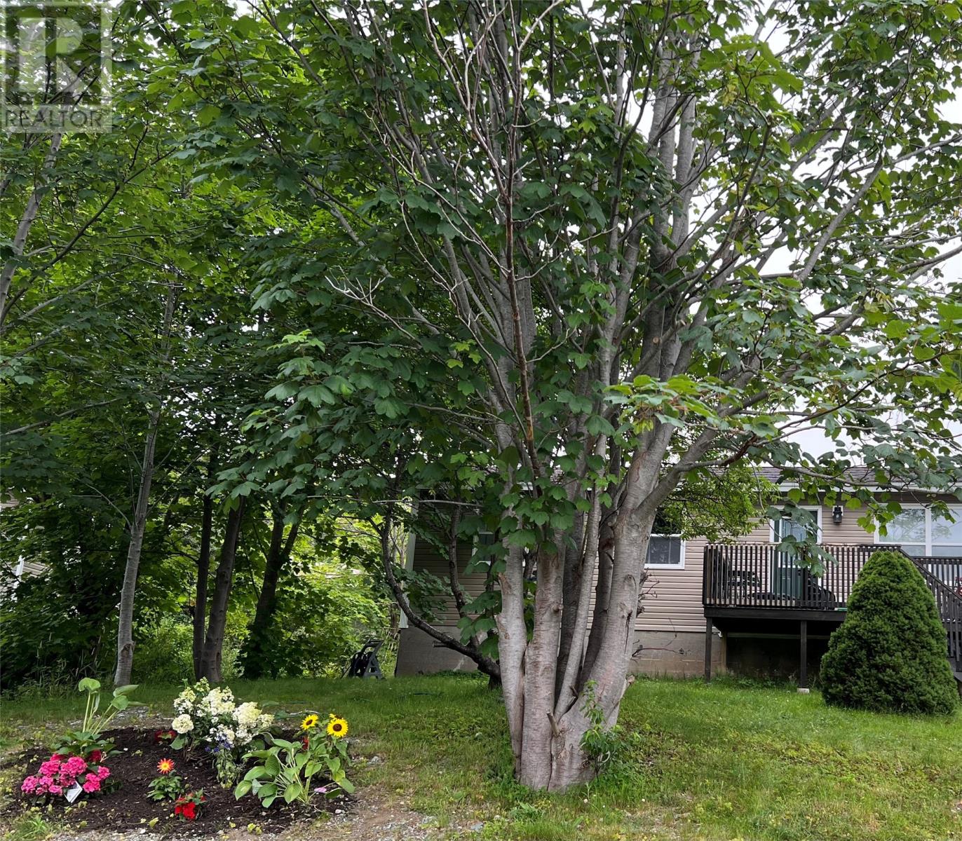 2 Joys Road, Holyrood, Newfoundland & Labrador  A0A 2R0 - Photo 3 - 1298075