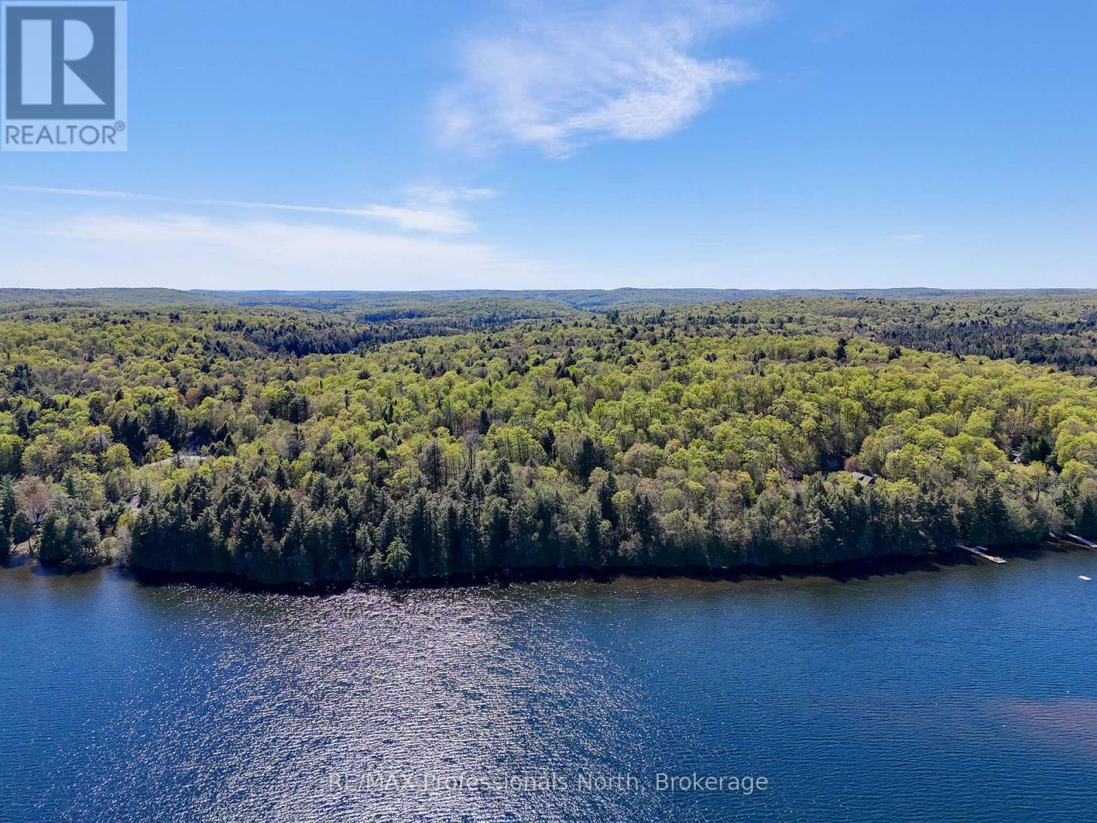 0 Old Sinclair Road, Lake Of Bays (Sinclair), Ontario  P1H 2J6 - Photo 2 - X13190672