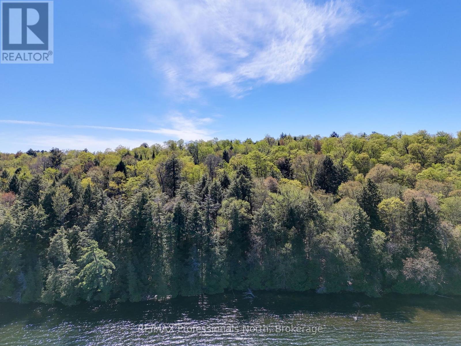0 Old Sinclair Road, Lake Of Bays (Sinclair), Ontario  P1H 2J6 - Photo 6 - X13190672