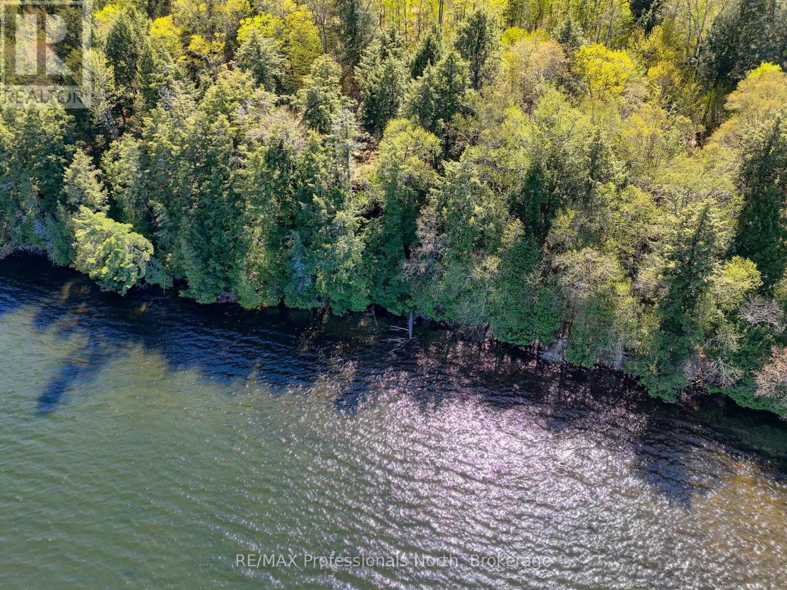 0 Old Sinclair Road, Lake Of Bays (Sinclair), Ontario  P1H 2J6 - Photo 7 - X13190672