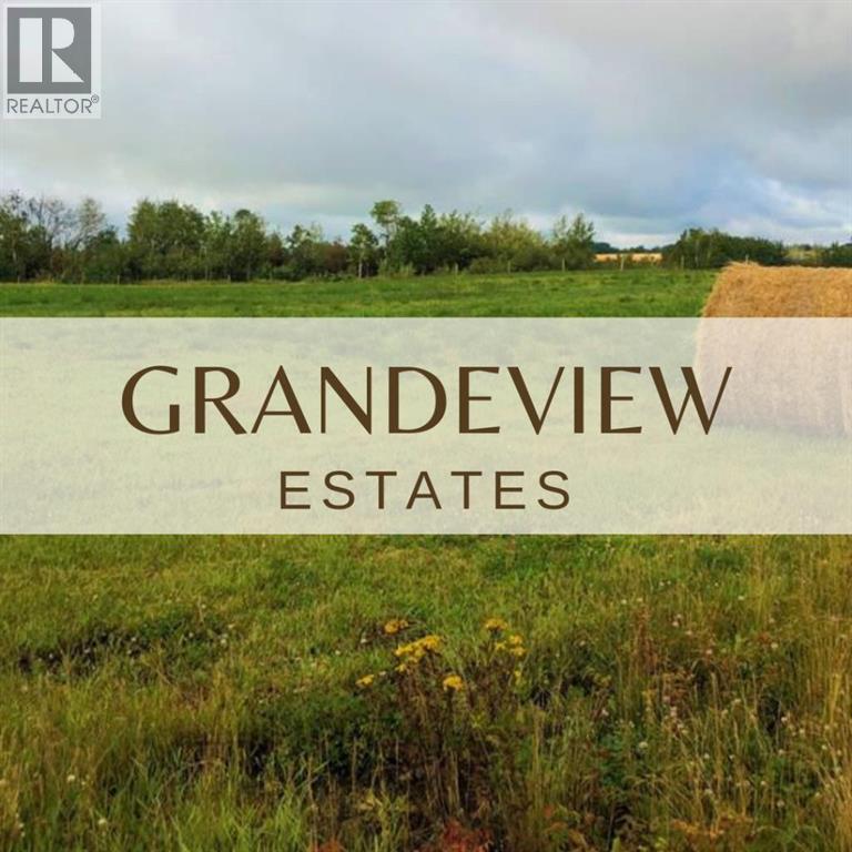 42 713019 Range Road 71, Rural Grande Prairie No. 1, Alberta  T8W 5E9 - Photo 1 - A2314982
