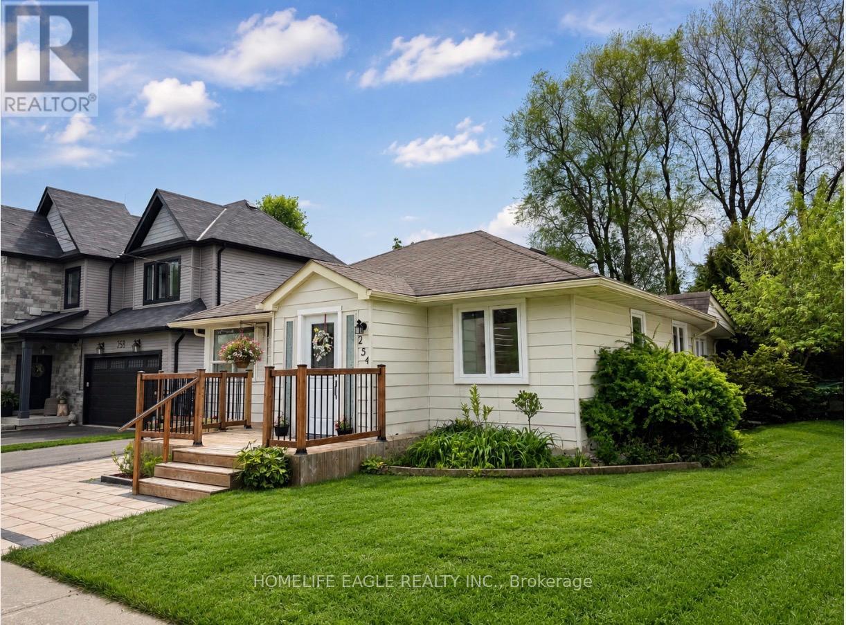 BASEMENT - 254 ANDREW STREET, Newmarket, Ontario