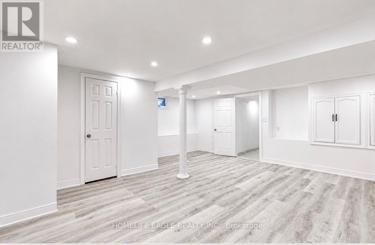 Basement - 254 Andrew Street, Newmarket, Ontario  L3Y 1H2 - Photo 2 - N13192678