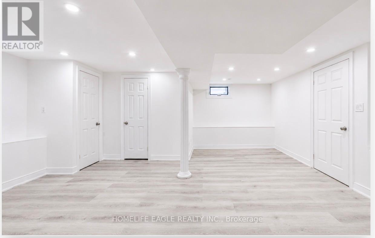 Basement - 254 Andrew Street, Newmarket, Ontario  L3Y 1H2 - Photo 3 - N13192678