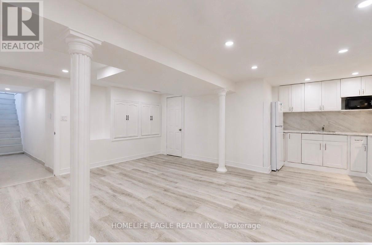Basement - 254 Andrew Street, Newmarket, Ontario  L3Y 1H2 - Photo 4 - N13192678