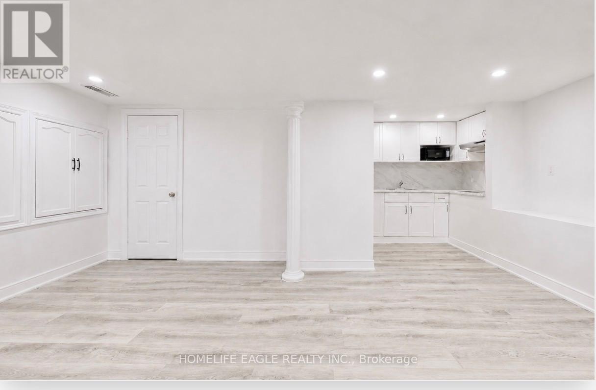 Basement - 254 Andrew Street, Newmarket, Ontario  L3Y 1H2 - Photo 5 - N13192678