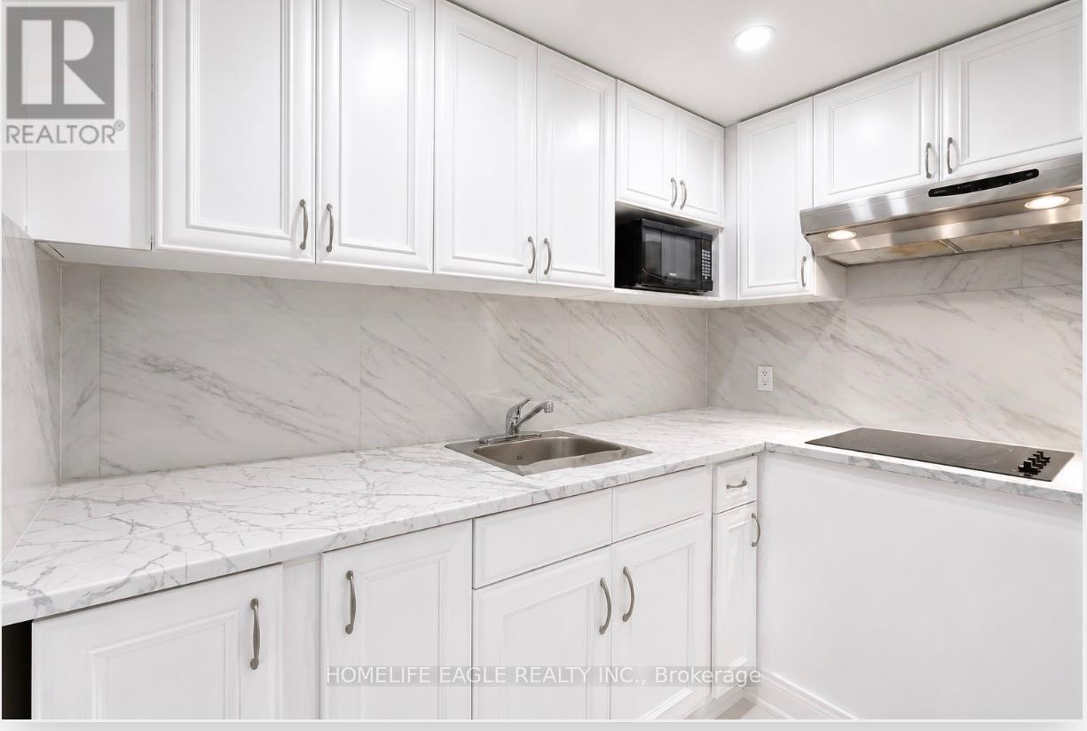 Basement - 254 Andrew Street, Newmarket, Ontario  L3Y 1H2 - Photo 6 - N13192678