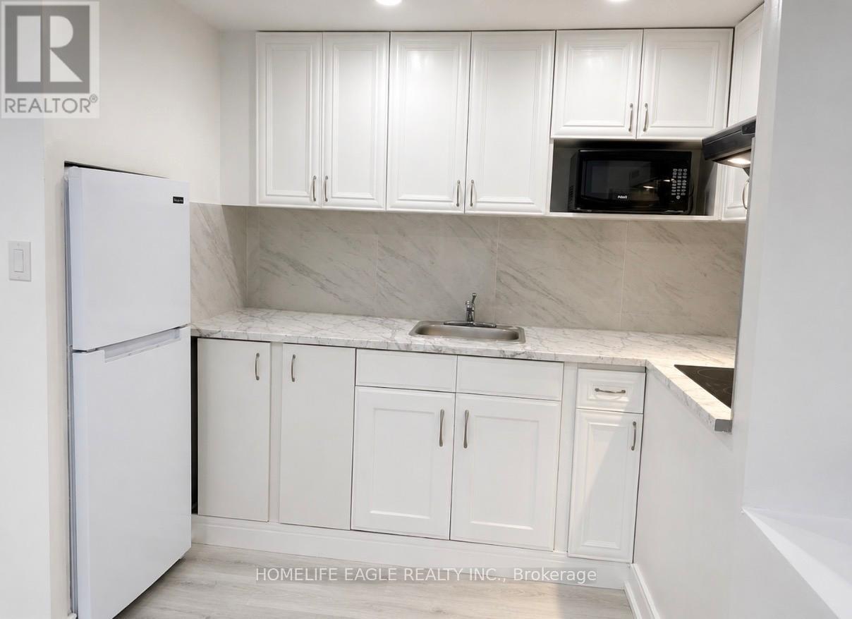 Basement - 254 Andrew Street, Newmarket, Ontario  L3Y 1H2 - Photo 7 - N13192678