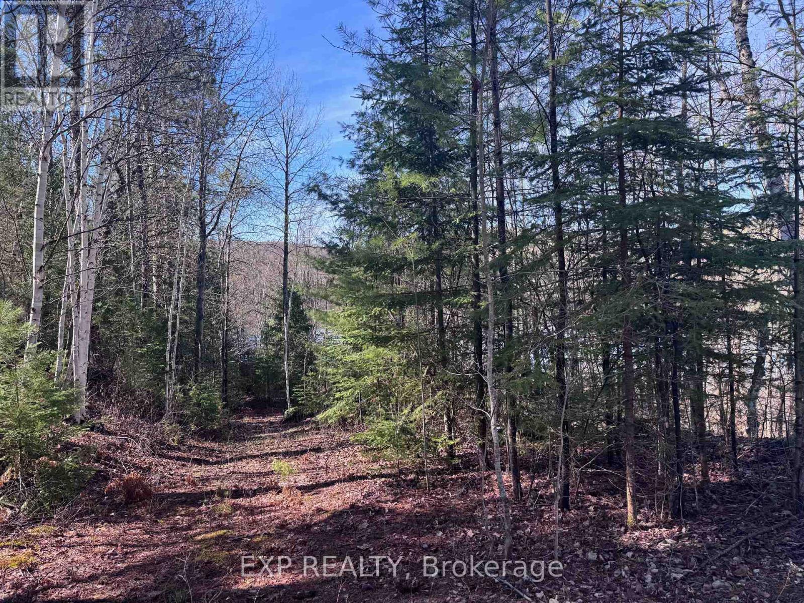 3395a Old Barry's Bay Road, Madawaska Valley, Ontario  K0J 1B0 - Photo 8 - X13135670