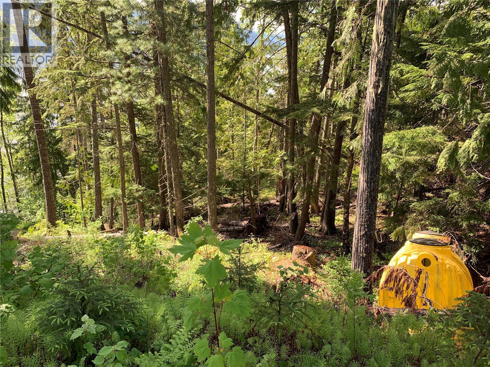 28 Simard Road, Mabel Lake, British Columbia  V0E 1V5 - Photo 44 - 10377603