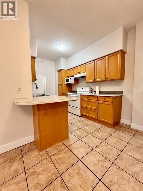 205, 9918 Gordon Avenue, Fort Mcmurray, Alberta  T9H 5L1 - Photo 9 - A2313747