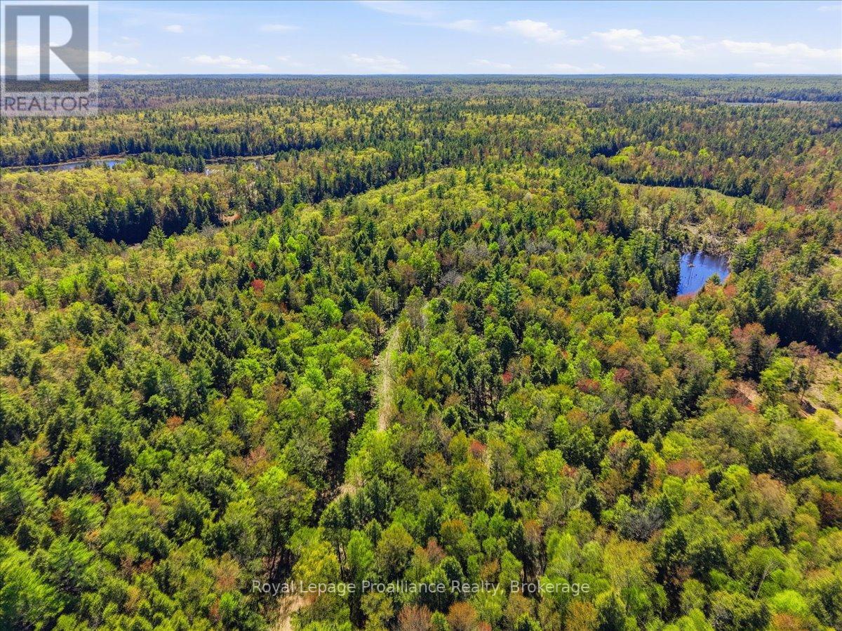 0 Fraser Lake Lane, Tudor And Cashel, Ontario  K0L 1W0 - Photo 29 - X13191872