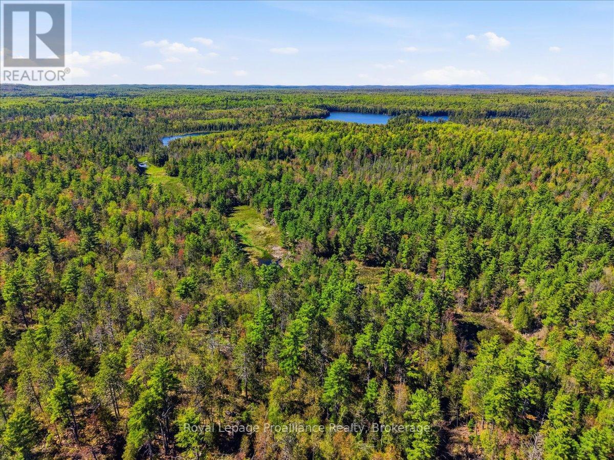0 Fraser Lake Lane, Tudor And Cashel, Ontario  K0L 1W0 - Photo 34 - X13191872