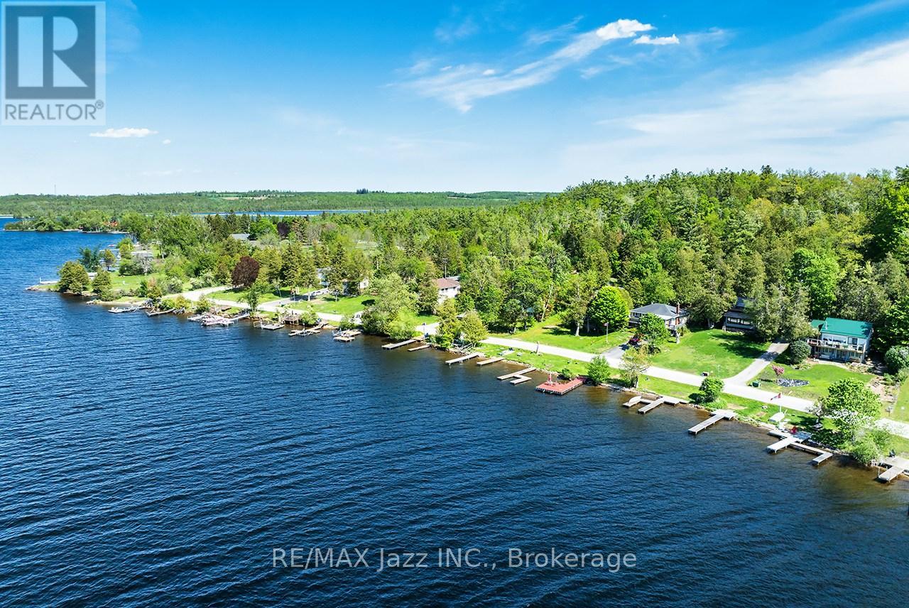 835 Cedar Glen Road, Kawartha Lakes, Ontario  K0M 1L0 - Photo 3 - X13196622