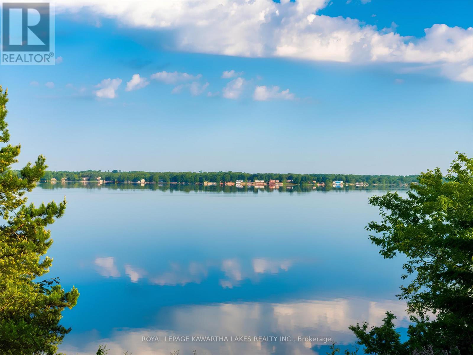 21 Emerald Street, Kawartha Lakes (Fenelon), Ontario  K9V 4R6 - Photo 48 - X13196684