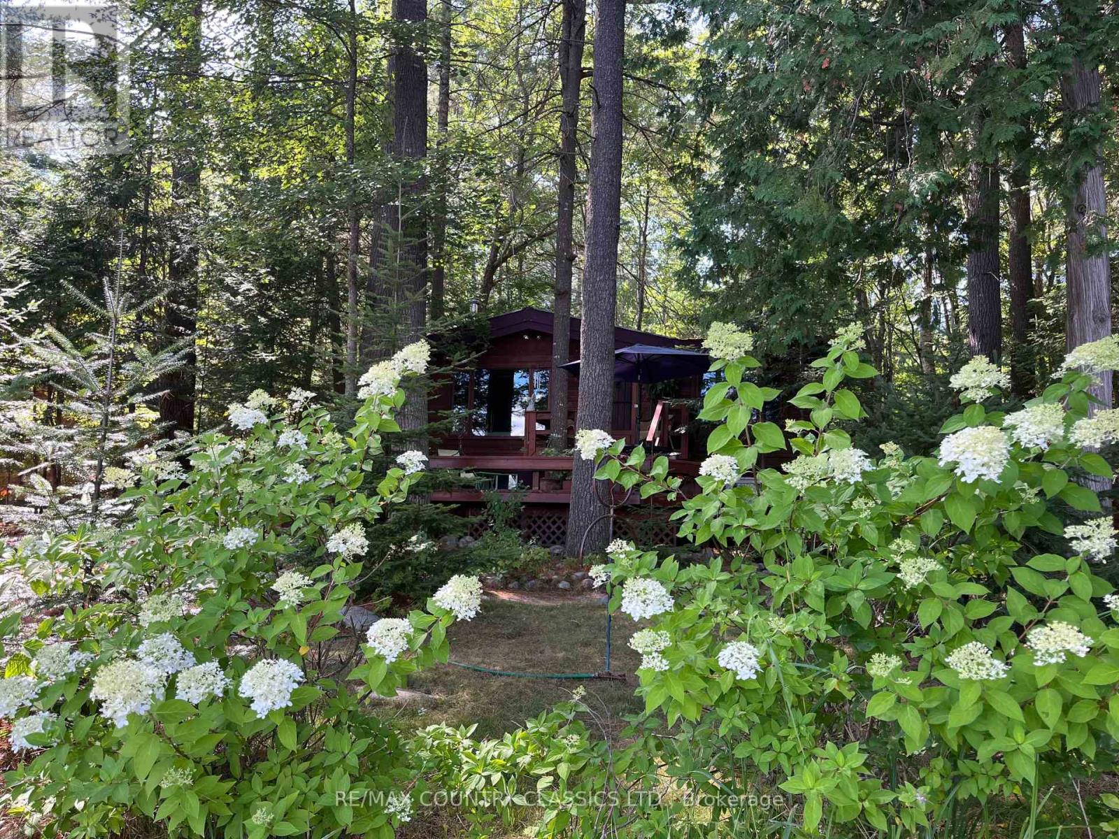 1008 Constance Road, Dysart Et Al, Ontario  K0L 2A0 - Photo 42 - X13170110