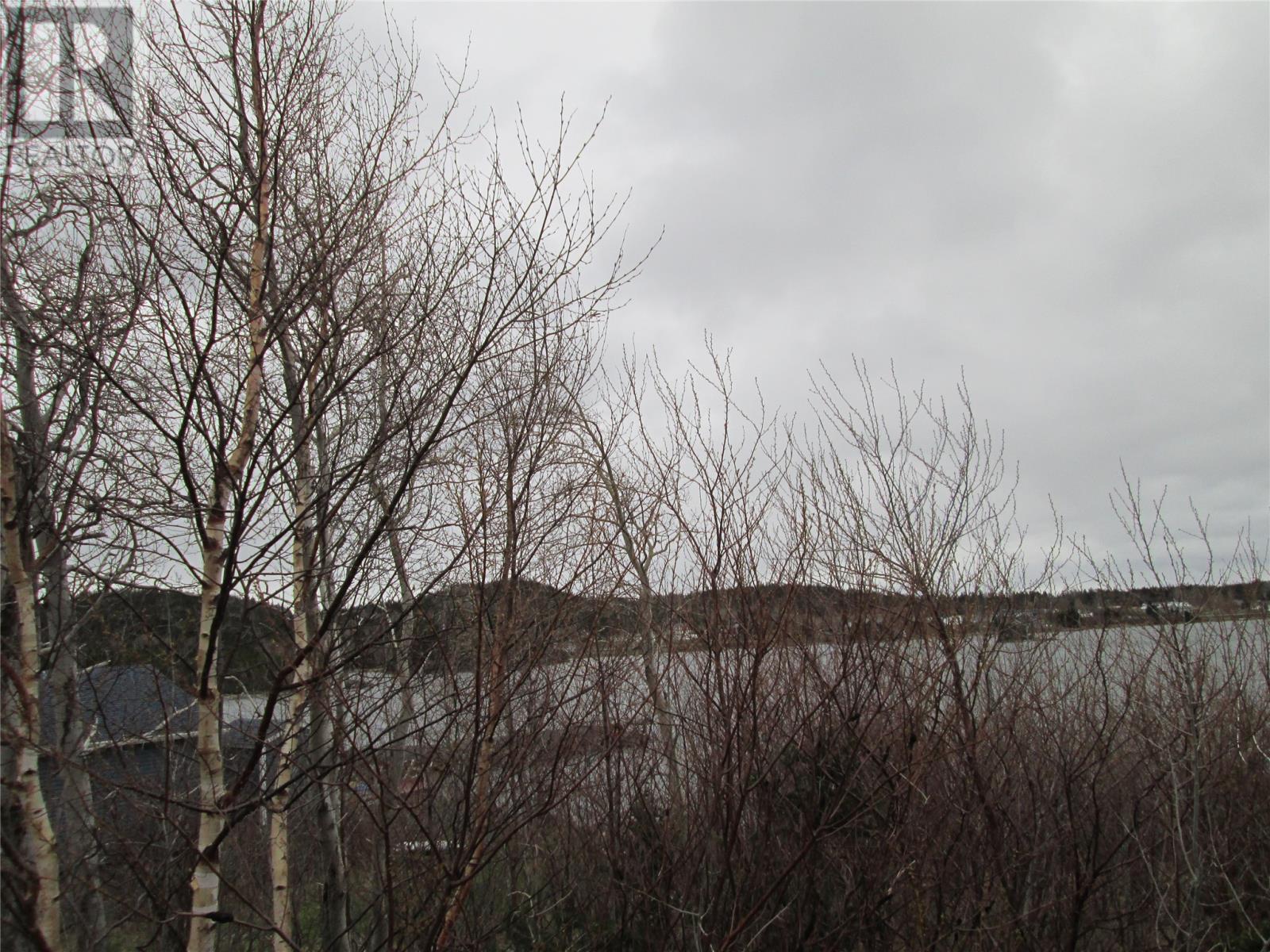15 Combdens Road, Boyd's Cove, Newfoundland & Labrador  A0G 1G0 - Photo 4 - 1298153