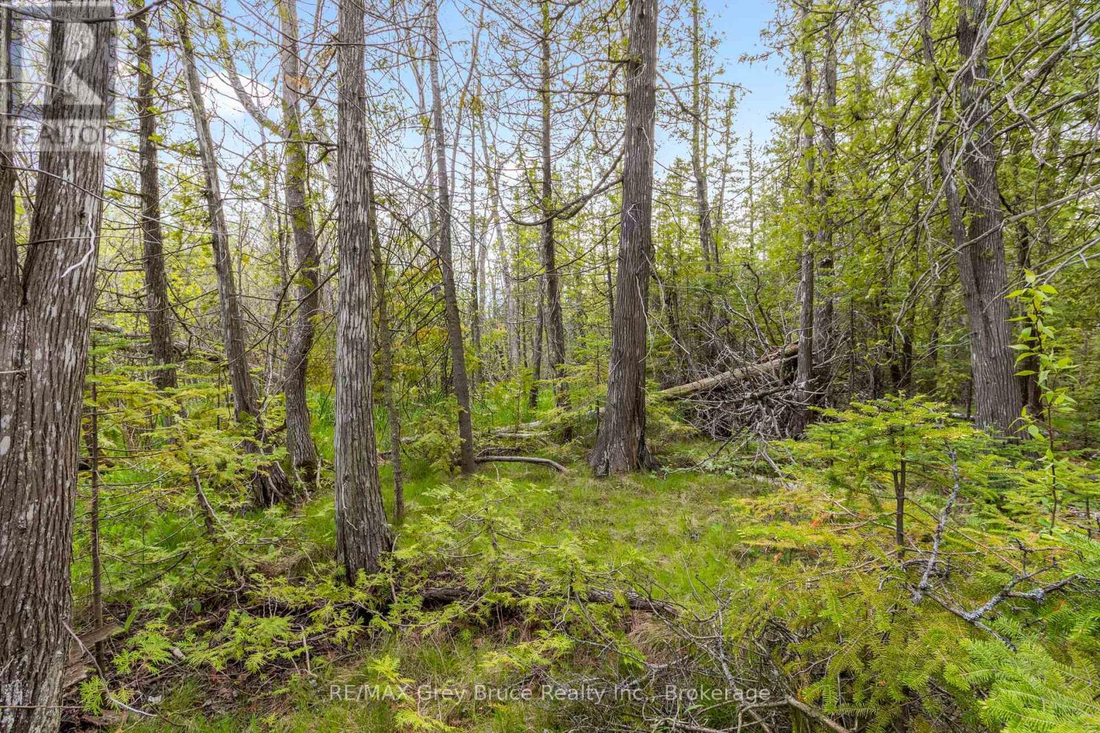 Lots 33 & 34 Big Tub Road, Northern Bruce Peninsula, Ontario  N0H 2R0 - Photo 14 - X12730426