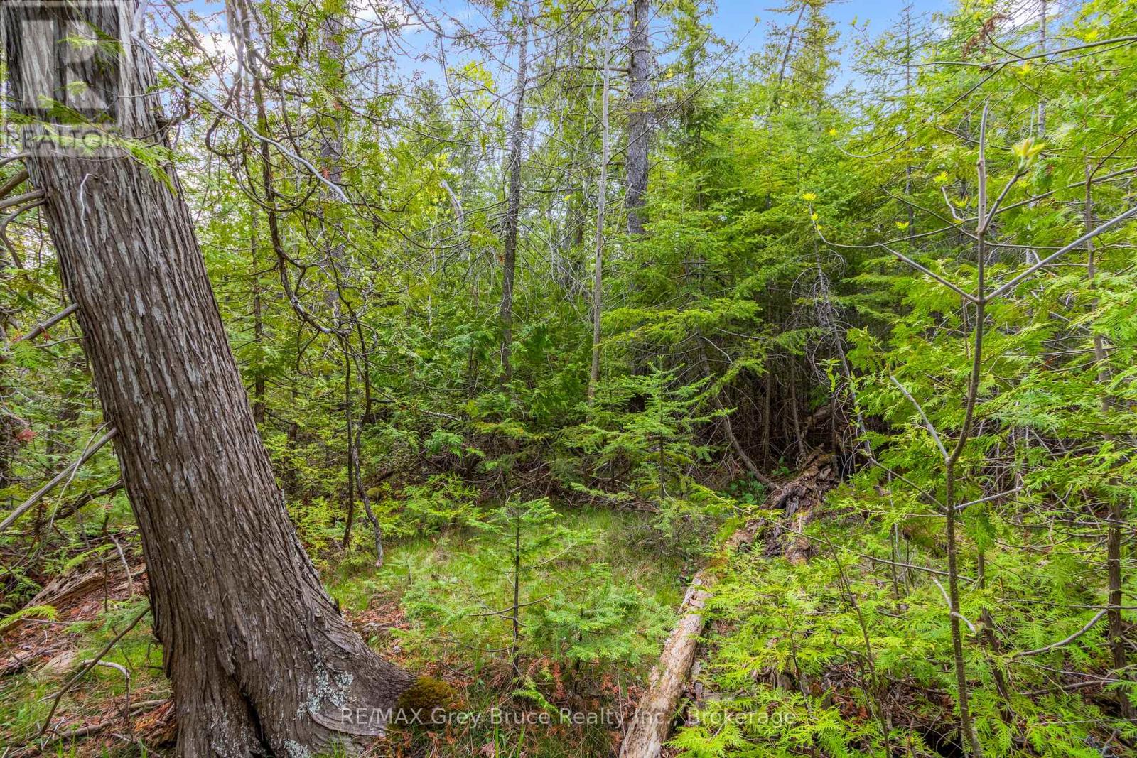 Lots 33 & 34 Big Tub Road, Northern Bruce Peninsula, Ontario  N0H 2R0 - Photo 15 - X12730426