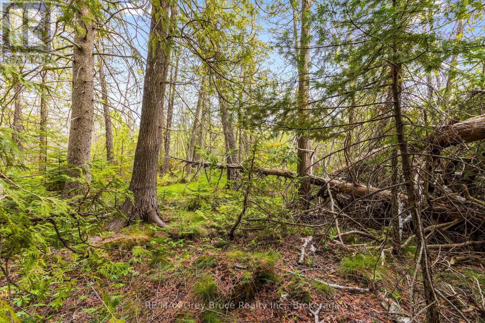 Lots 33 & 34 Big Tub Road, Northern Bruce Peninsula, Ontario  N0H 2R0 - Photo 11 - X12730426