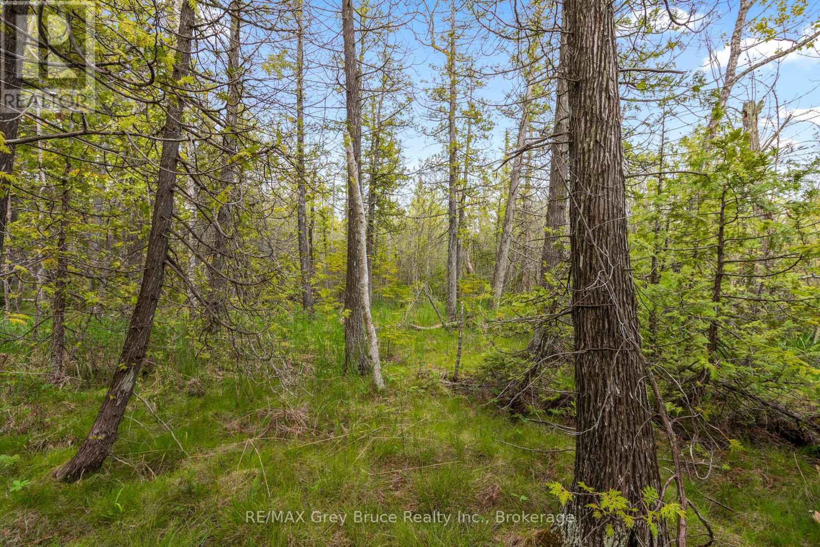Lots 33 & 34 Big Tub Road, Northern Bruce Peninsula, Ontario  N0H 2R0 - Photo 12 - X12730426