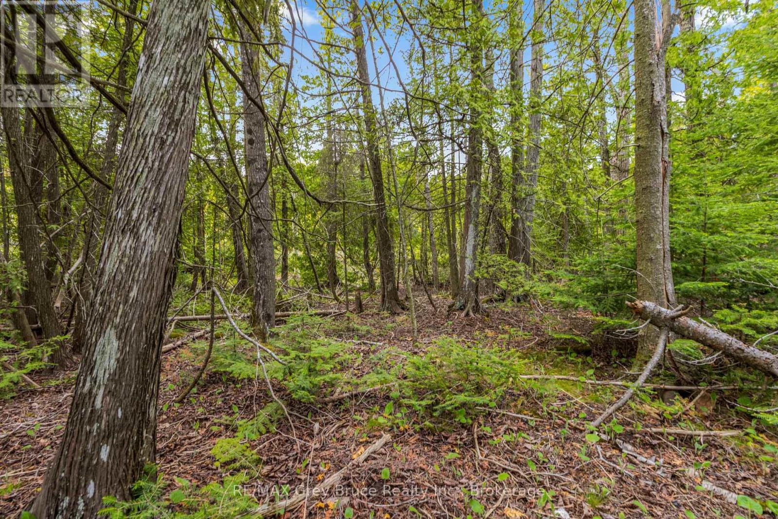 Lots 33 & 34 Big Tub Road, Northern Bruce Peninsula, Ontario  N0H 2R0 - Photo 17 - X12730426