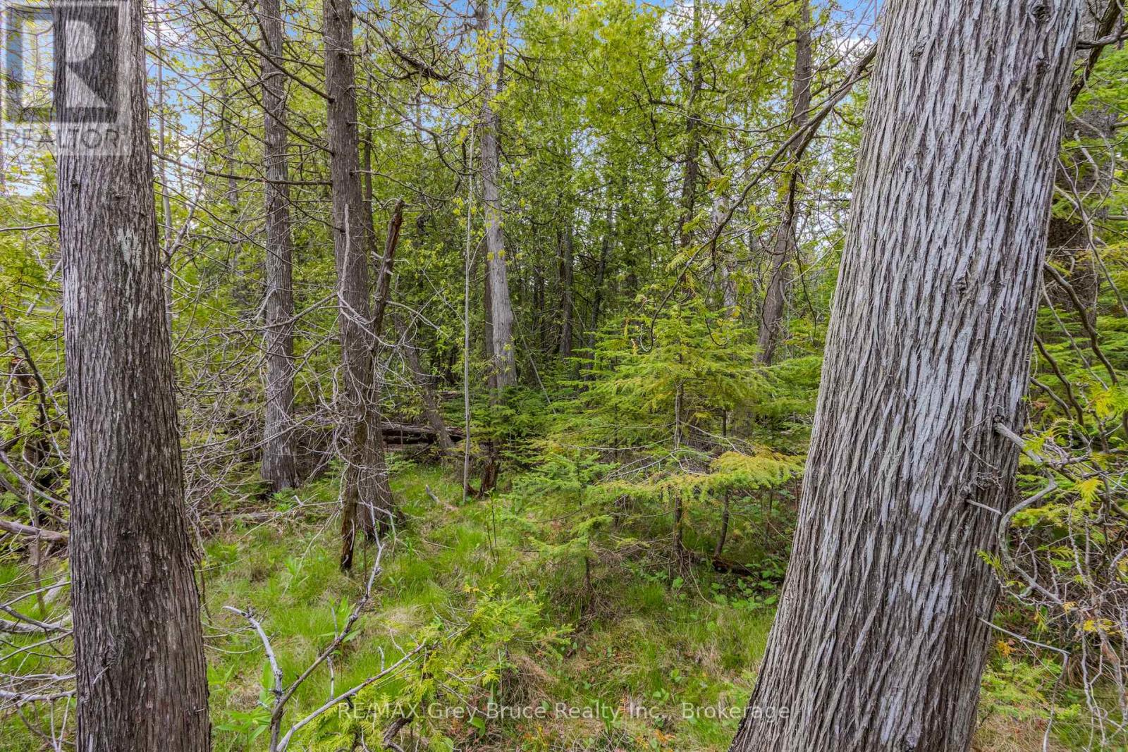Lots 33 & 34 Big Tub Road, Northern Bruce Peninsula, Ontario  N0H 2R0 - Photo 16 - X12730426