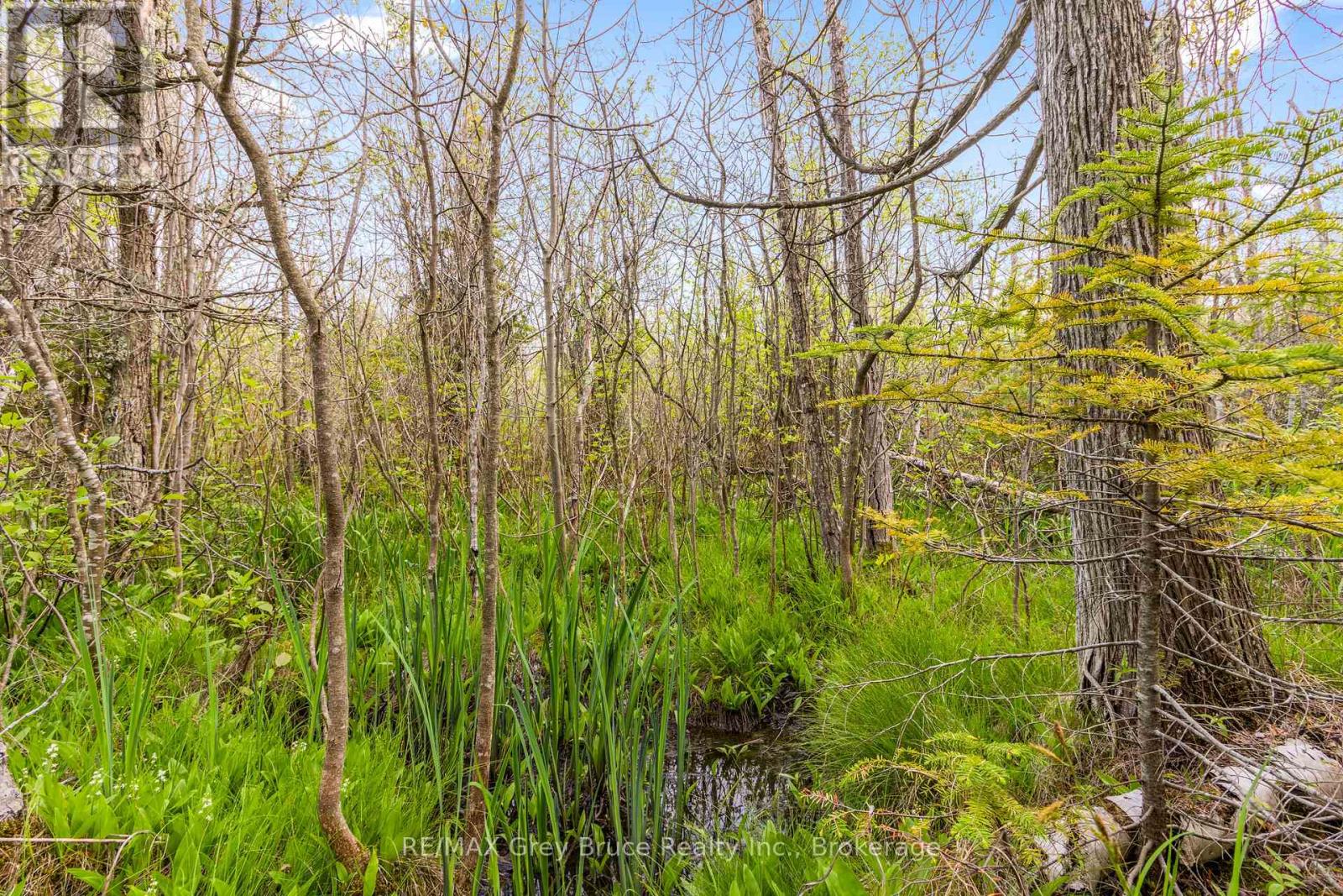 Lots 33 & 34 Big Tub Road, Northern Bruce Peninsula, Ontario  N0H 2R0 - Photo 13 - X12730426