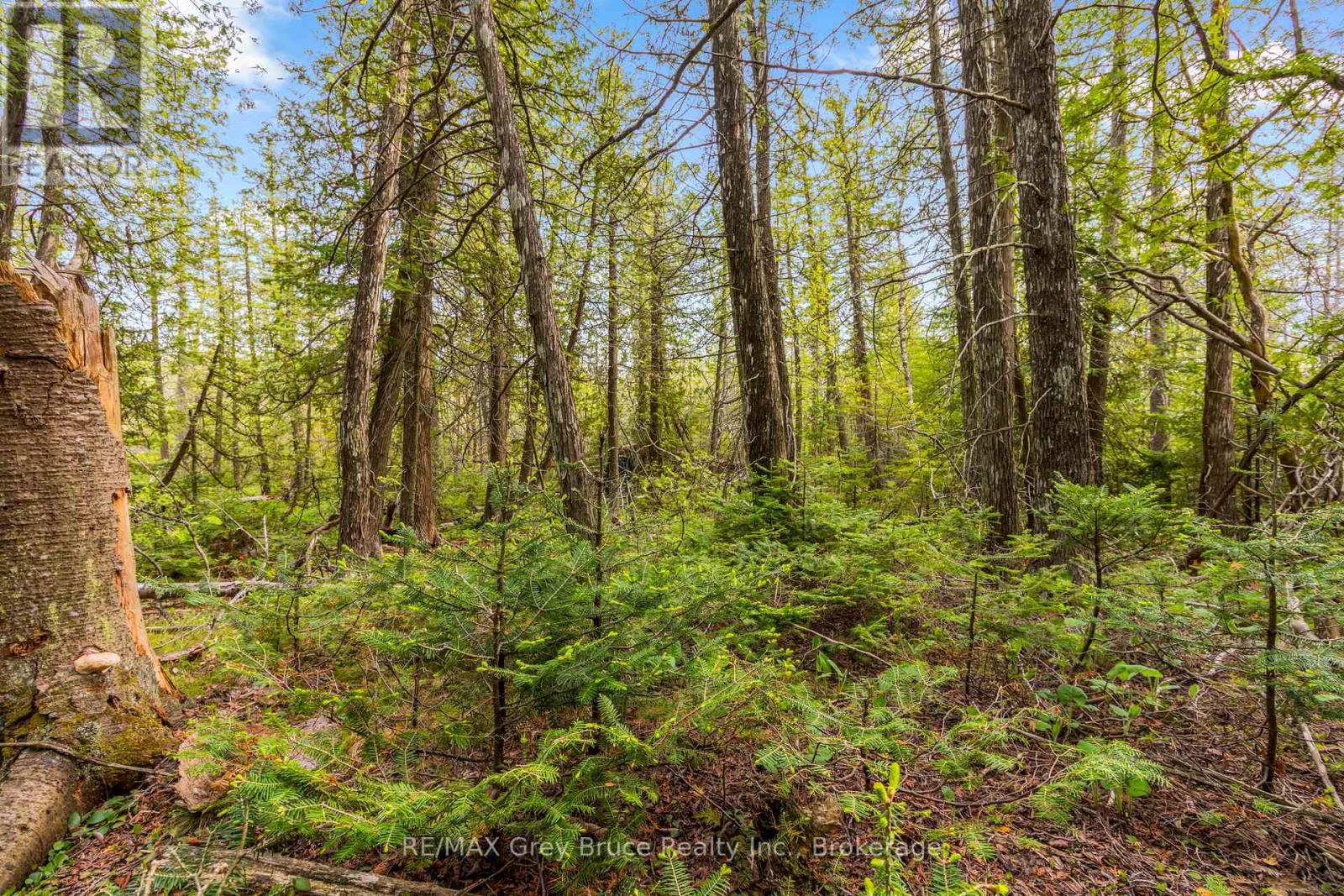 Lots 33 & 34 Big Tub Road, Northern Bruce Peninsula, Ontario  N0H 2R0 - Photo 9 - X12730426