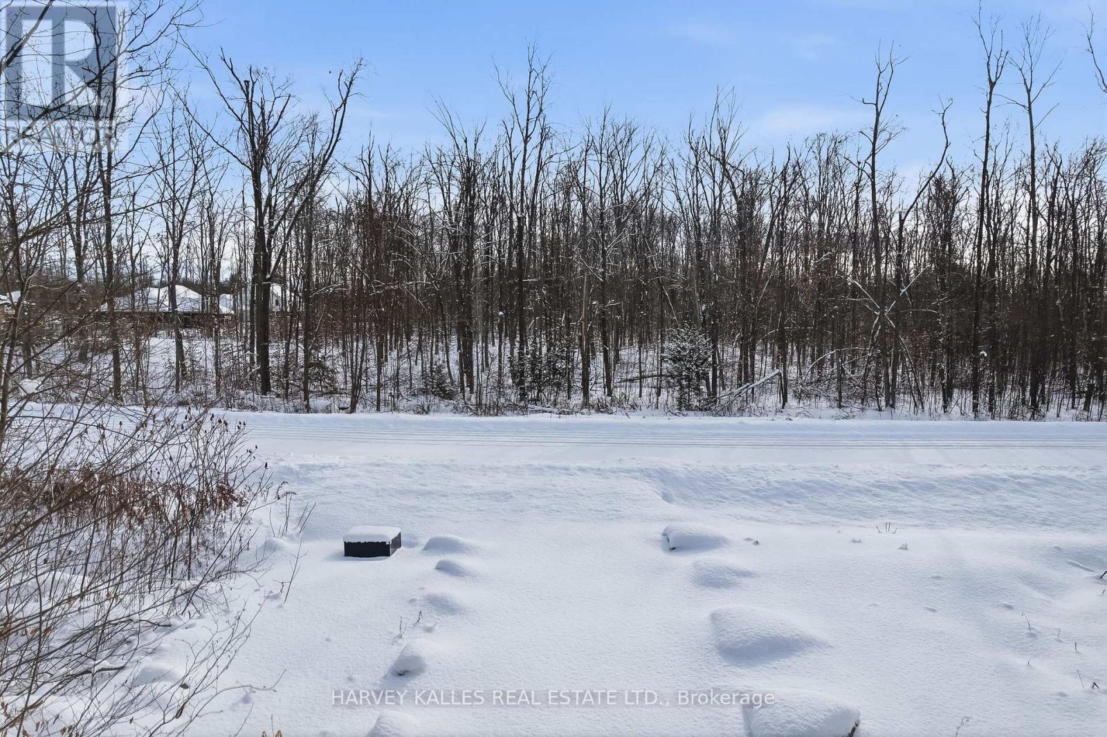 3020 Finley Road, Selwyn, Ontario  K0L 2H0 - Photo 16 - X13197956