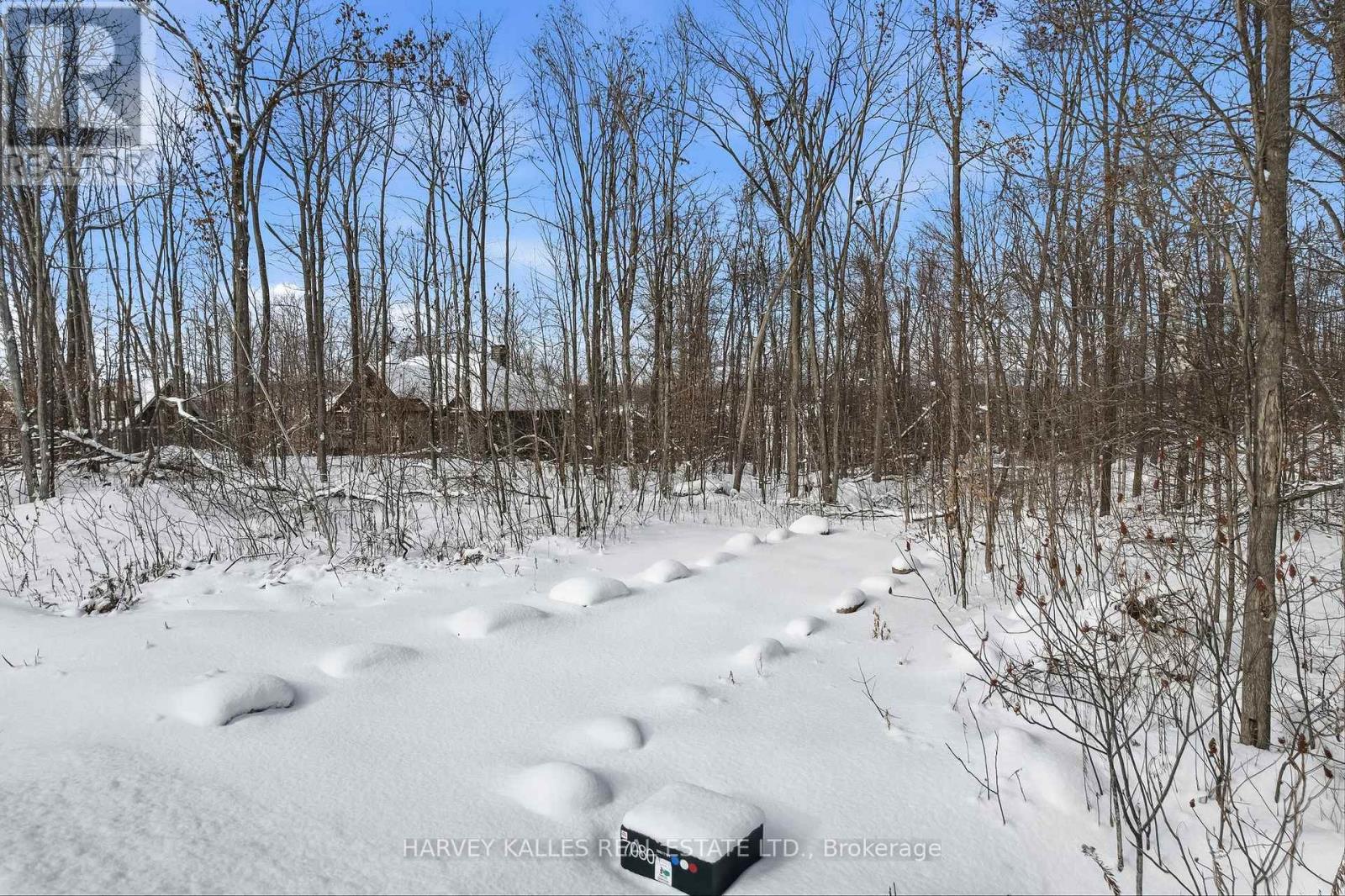 3020 Finley Road, Selwyn, Ontario  K0L 2H0 - Photo 17 - X13197956