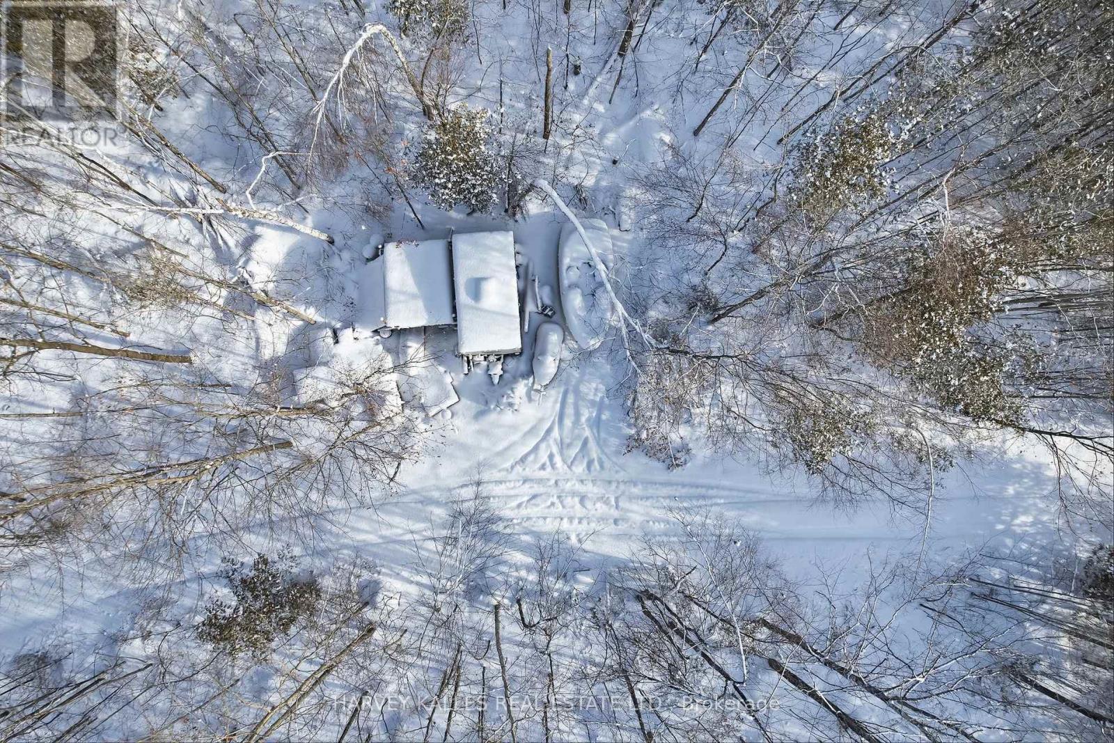 3020 Finley Road, Selwyn, Ontario  K0L 2H0 - Photo 8 - X13197956