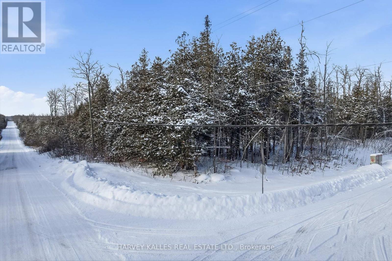 3020 Finley Road, Selwyn, Ontario  K0L 2H0 - Photo 9 - X13197956