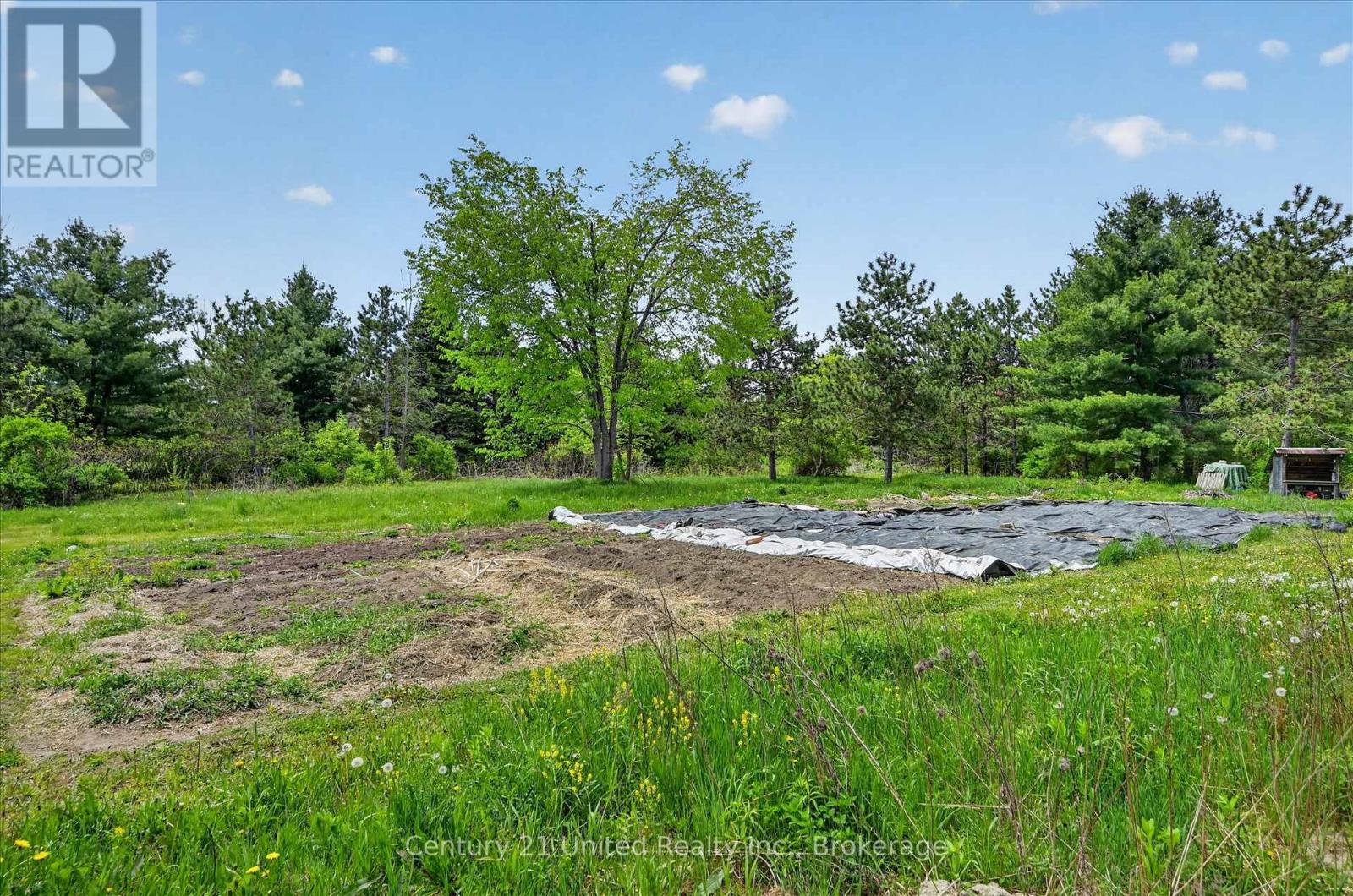 354b Marble Point Road, Marmora And Lake, Ontario  K0K 2M0 - Photo 11 - X13199150