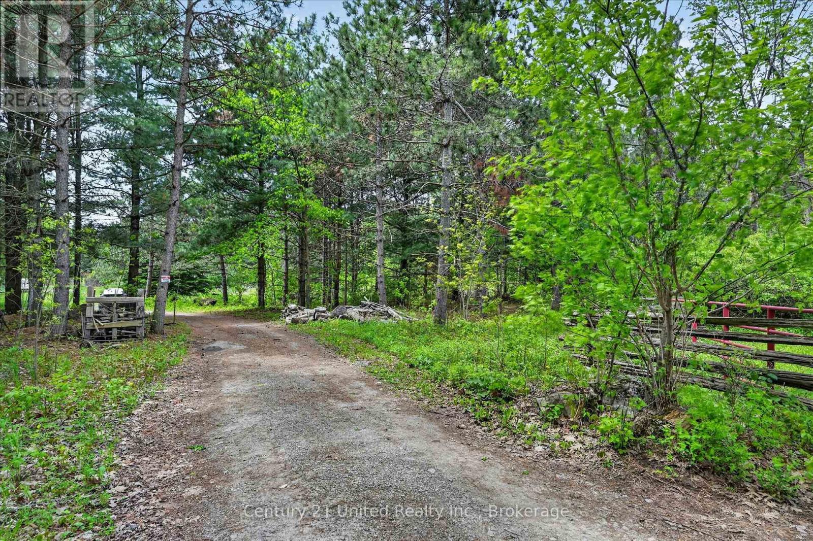 354b Marble Point Road, Marmora And Lake, Ontario  K0K 2M0 - Photo 5 - X13199150