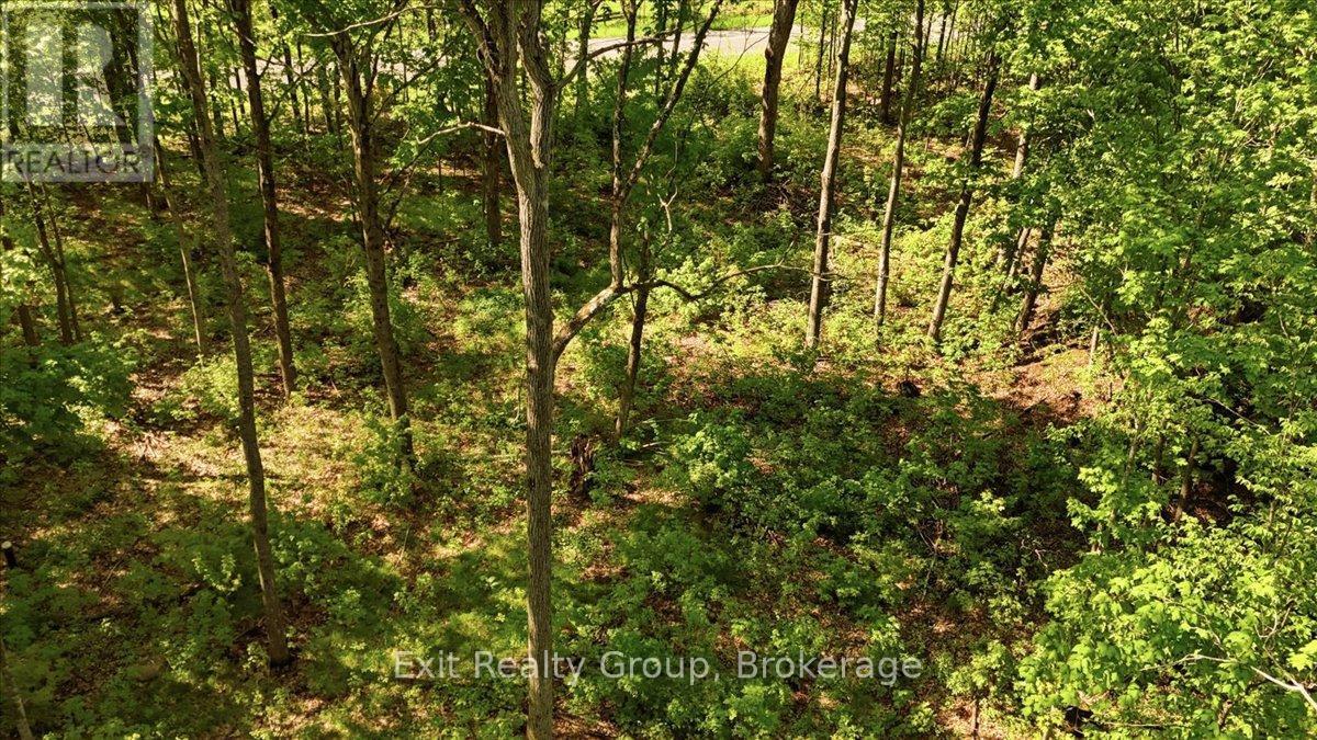 75 Spry Road, Stirling-Rawdon, Ontario  K0K 3E0 - Photo 8 - X13200478