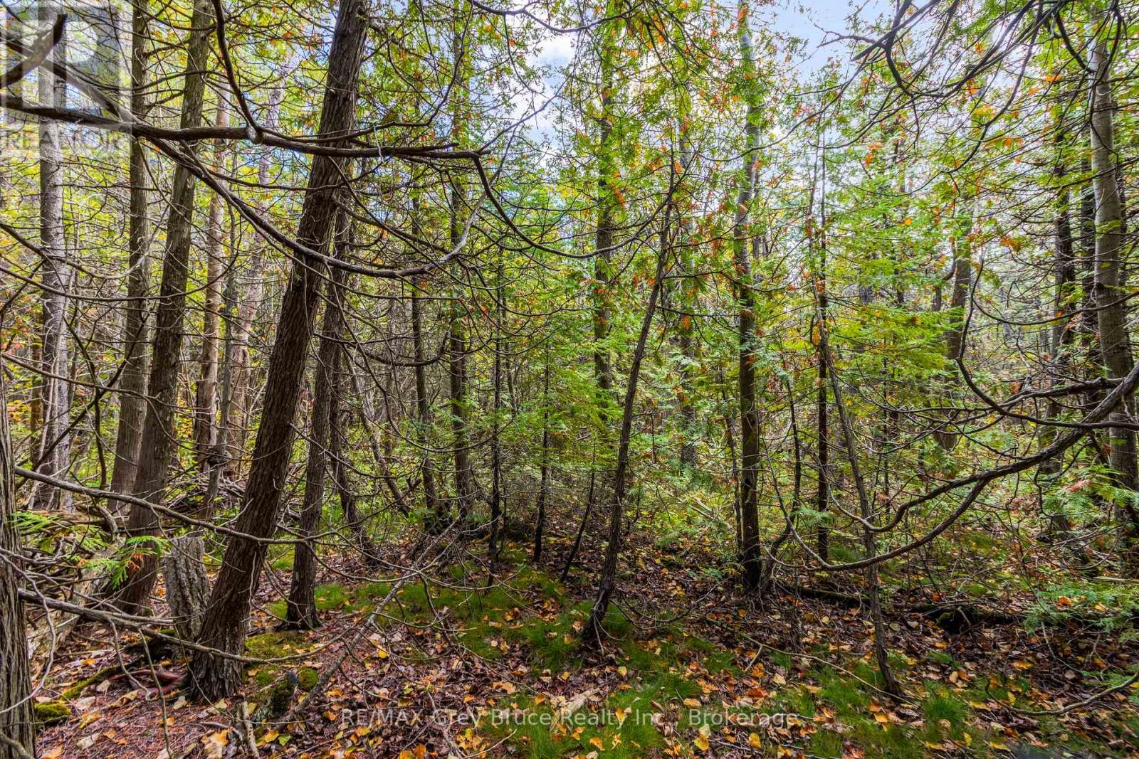 Fm Lt 4 Nicholas Street, Northern Bruce Peninsula, Ontario  N0H 2R0 - Photo 6 - X12806214