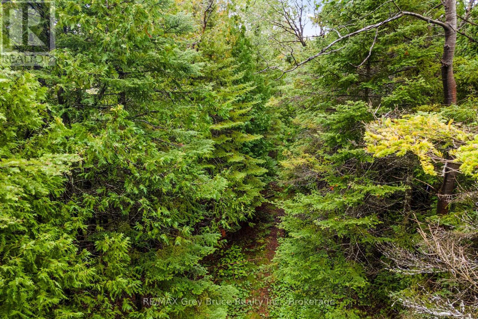 Pt Farm Lt 4 Nicholas Street, Northern Bruce Peninsula, Ontario  N0H 2R0 - Photo 12 - X12806248