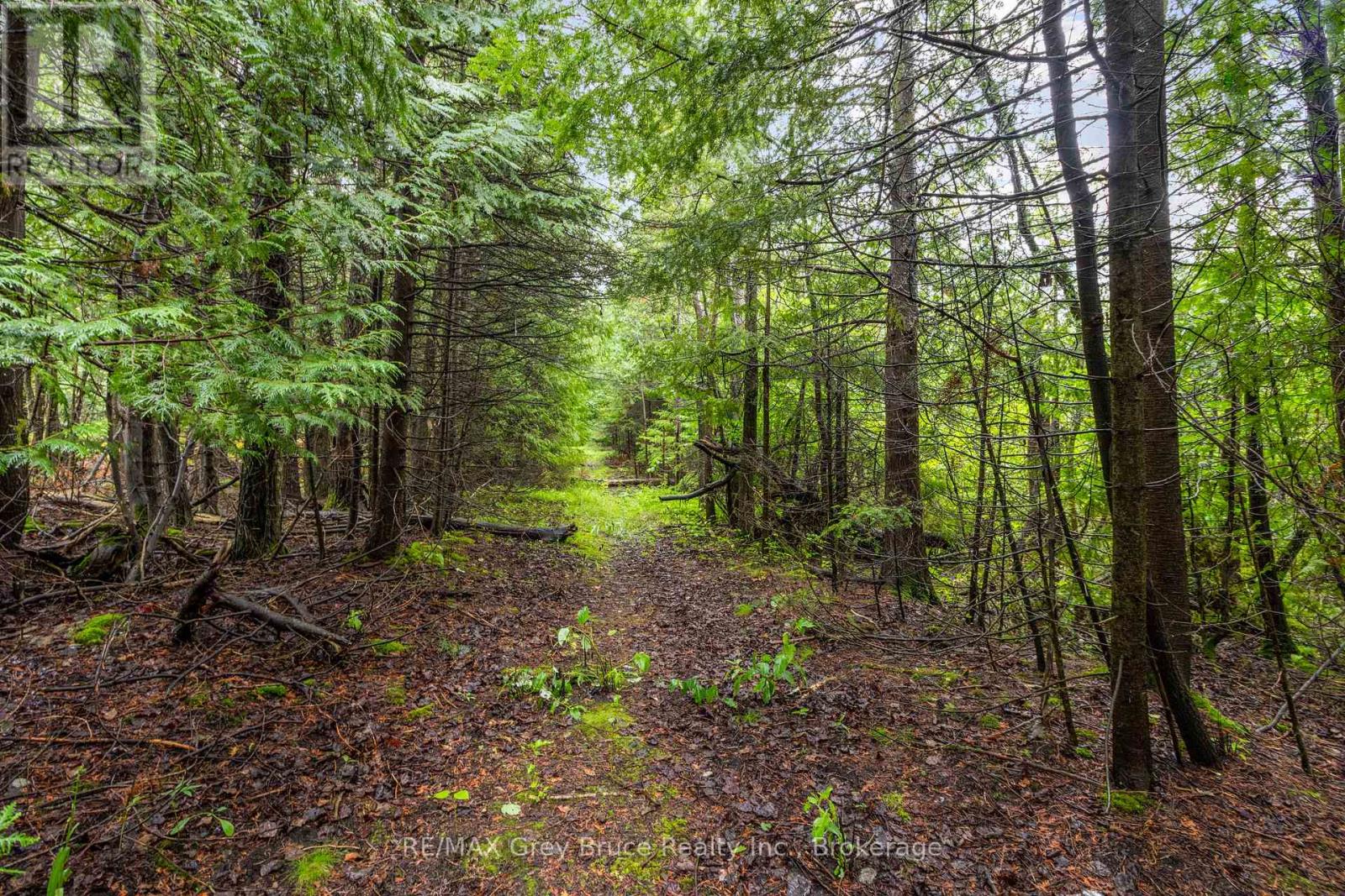 Pt Farm Lt 4 Nicholas Street, Northern Bruce Peninsula, Ontario  N0H 2R0 - Photo 14 - X12806248