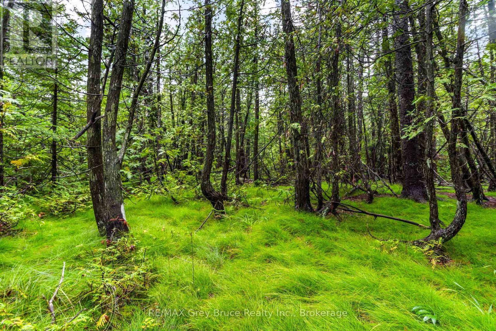 Pt Farm Lt 4 Nicholas Street, Northern Bruce Peninsula, Ontario  N0H 2R0 - Photo 25 - X12806248