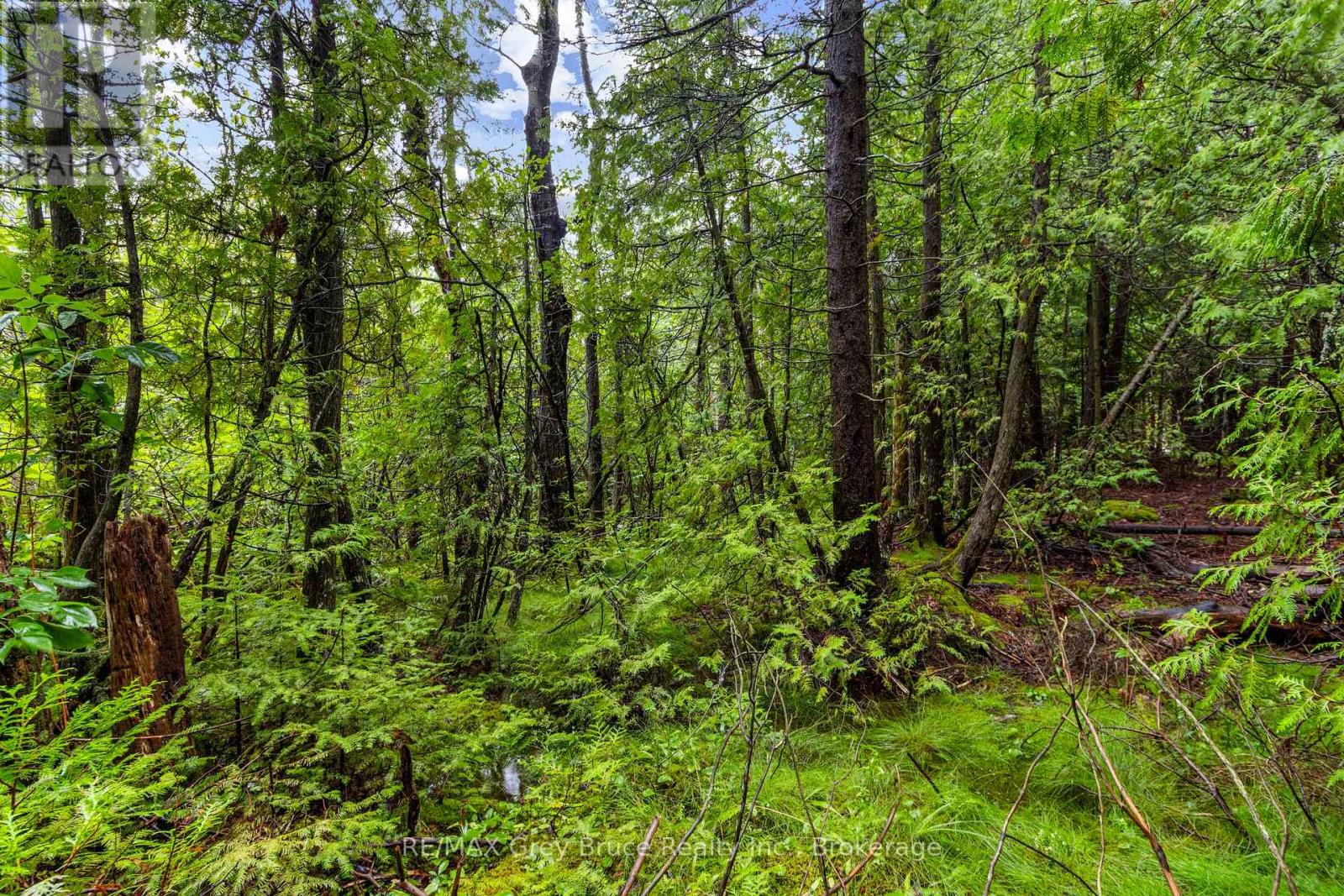 Pt Farm Lt 4 Nicholas Street, Northern Bruce Peninsula, Ontario  N0H 2R0 - Photo 23 - X12806248
