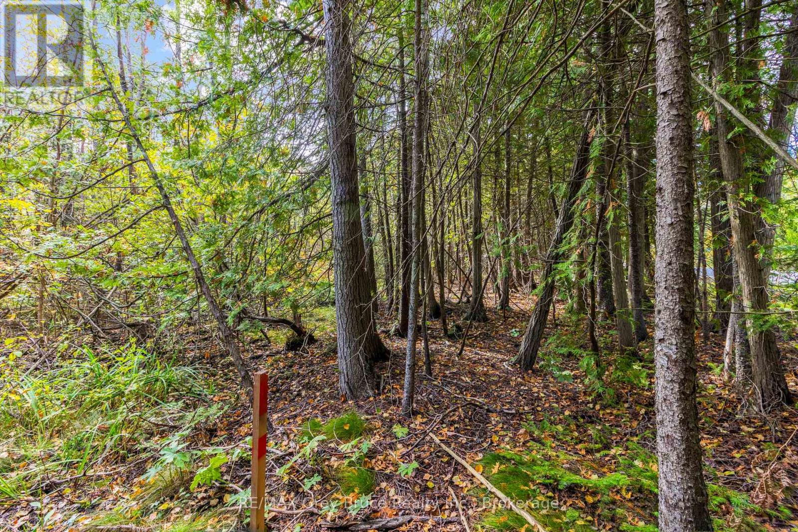 Fm Lt 4 Nicholas Street, Northern Bruce Peninsula, Ontario  N0H 2R0 - Photo 3 - X12806214
